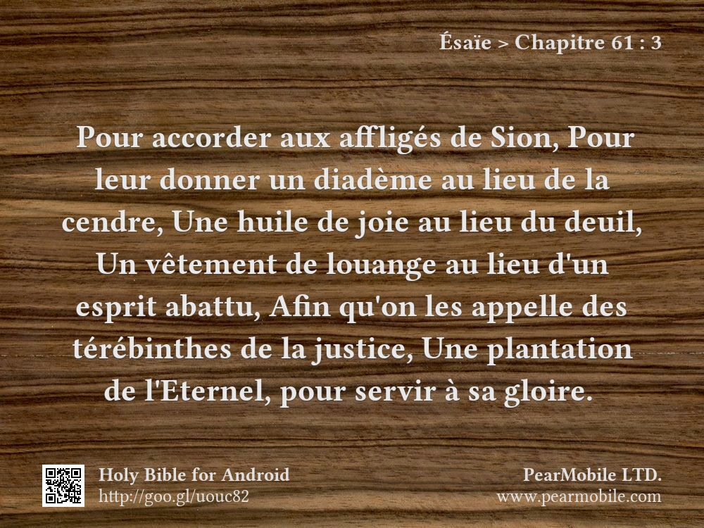 Ésaïe, Chapitre 61:3
